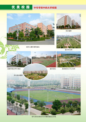 乐鱼手机网页版登录入口2016年招生简章6